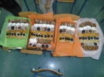 DSC03270